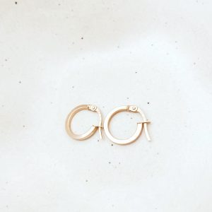 Huggie earrings 1